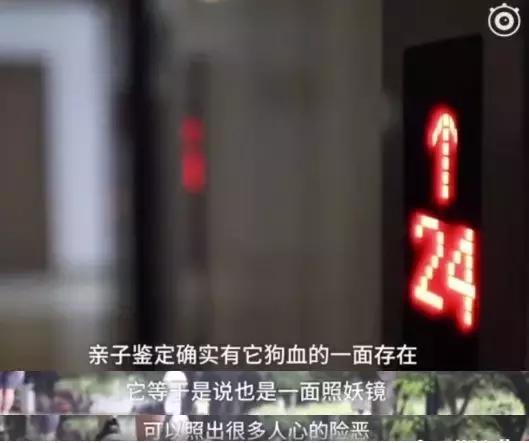 亲子鉴定毁了多少家庭,亲子鉴定毁掉一桩婚丈夫吐尽苦水