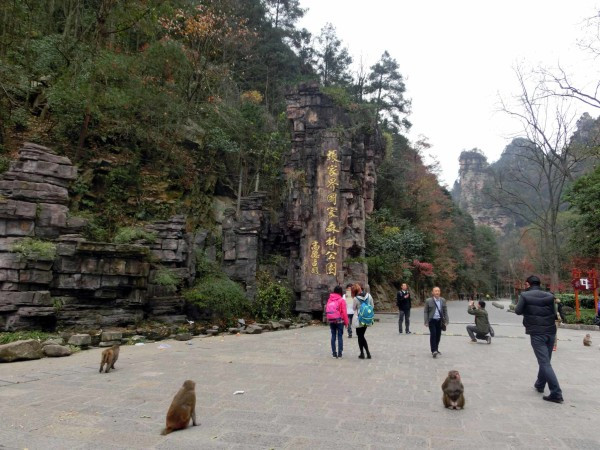 张家界国家森林公园天门山两日游,张家界天门山自由行攻略一日游