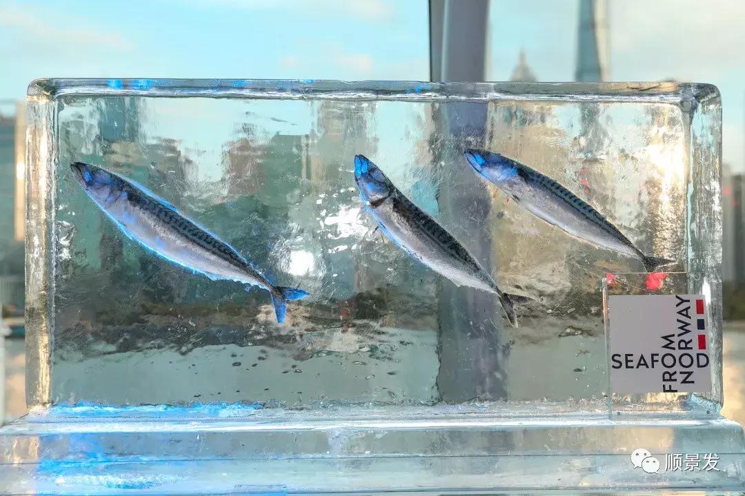 乘共赢巨轮驶向机遇之海，顺景发总裁翁绳生出席中挪商务峰会讲话