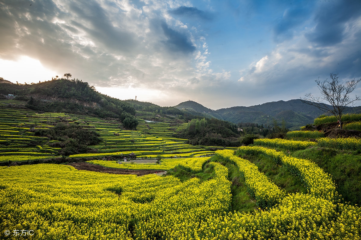 哪位高人写的句子句句有道理,哪位高人写的精辟