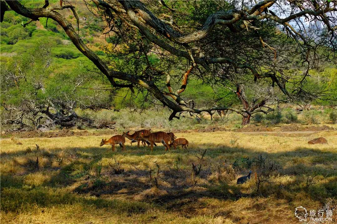 你喜欢什么样的海水,你喜欢什么样的海