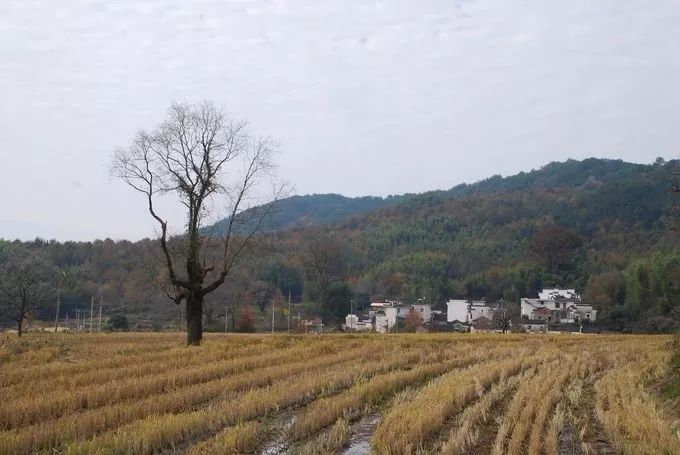 秋天的安徽,这才是安徽秋天该有的样子
