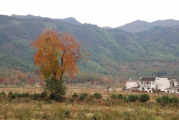 秋天的安徽,这才是安徽秋天该有的样子