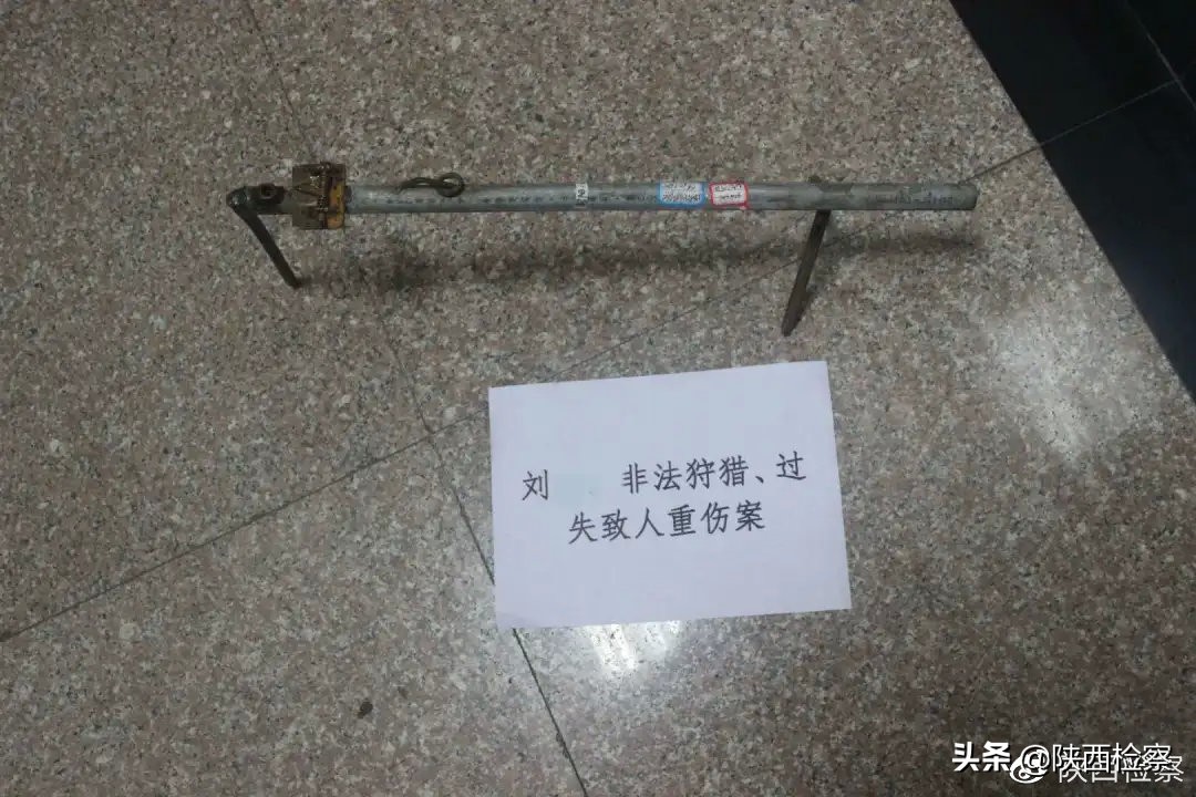 野生动物保护公益诉讼检察建议,多部门推动野生动物公益司法保护