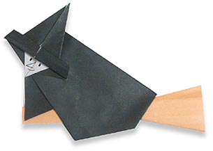 各种折纸方法教程详细图解,各种折纸方法图解中文版