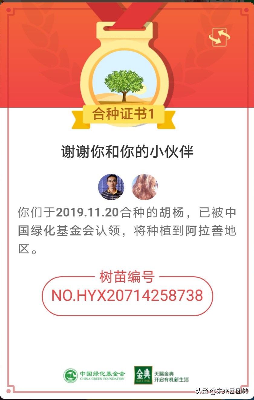 支付宝蚂蚁森林爱情树怎么查看,支付宝蚂蚁森林哪个是爱情树