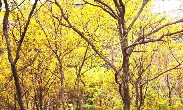 2023青海环线游最佳路线图,青海环线自驾游7天路线