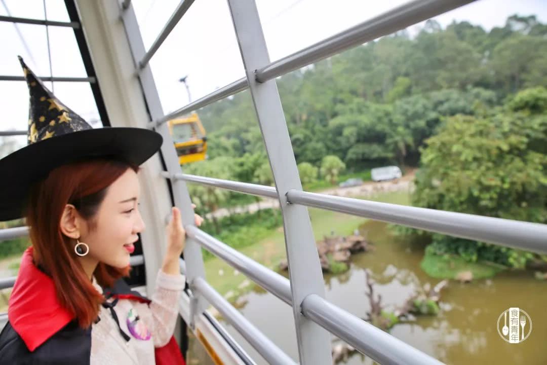 动物园万圣节里面有什么,万圣节动物王国