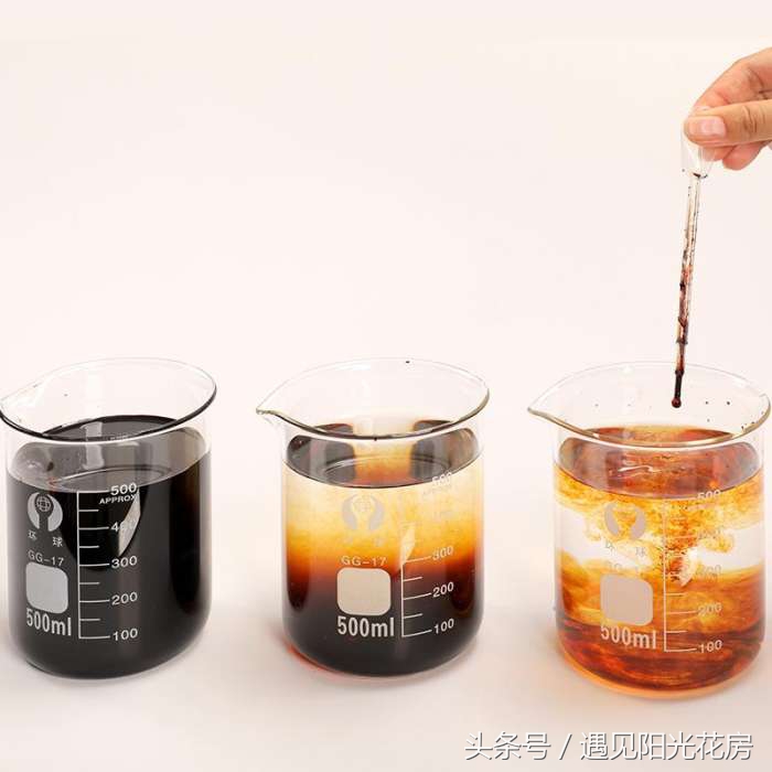 满天星养成“满天黄草”！盘点满天星黄叶枯萎的原因