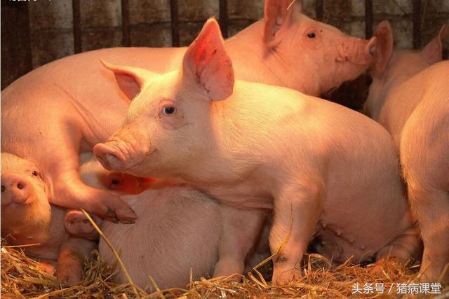 花小钱就能治愈的中医小妙方,花小钱治大病系列