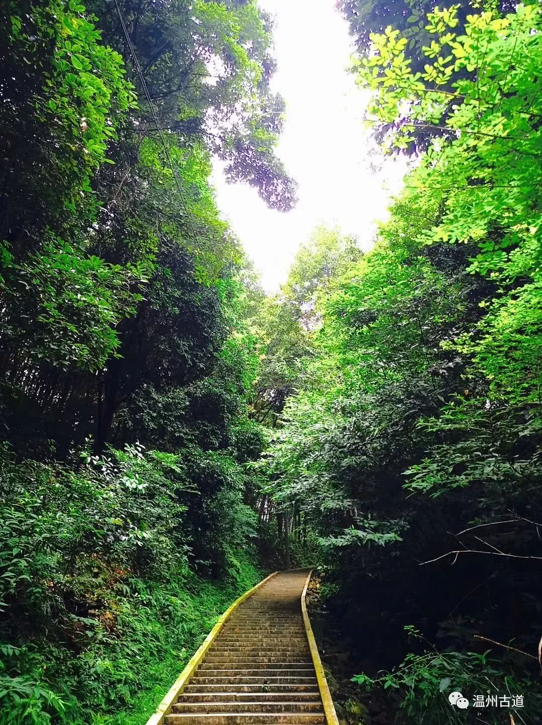 瓯海瞿溪风景,远山近水如诗如画