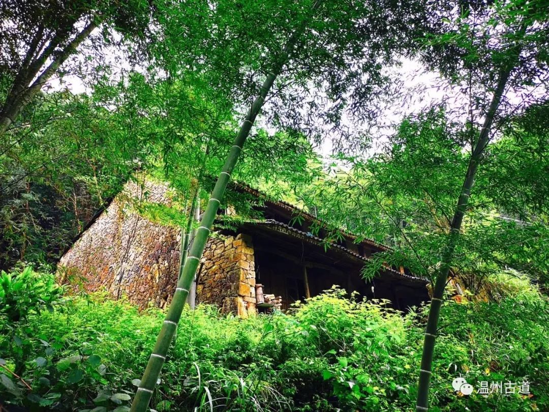 瓯海瞿溪风景,远山近水如诗如画