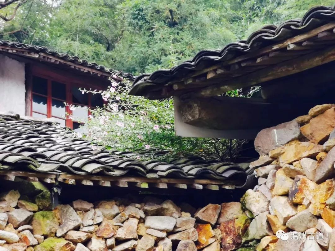 瓯海瞿溪风景,远山近水如诗如画