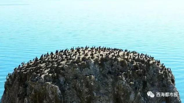 美爆了一大波青海冬日奇景,青海神秘奇景