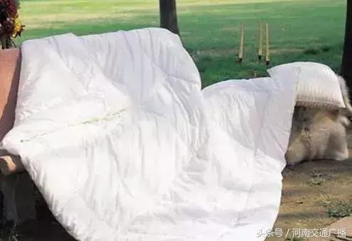 降温了薄被子冷,降温后的被子