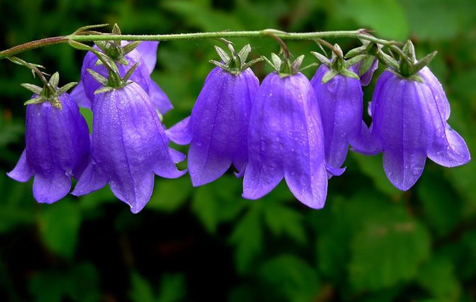 善待没脾气的人,做人要善待每一个人