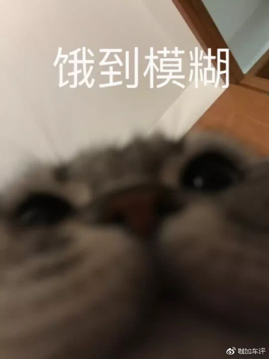 北汽212最新款2023沉浸式体验,北汽制造新款bj212实车曝光