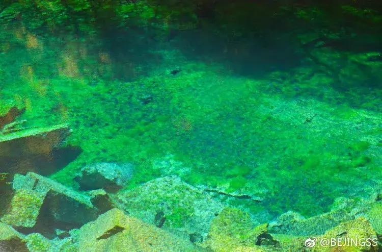阿坝赏秋一日游,带你看阿坝州秋天的美景