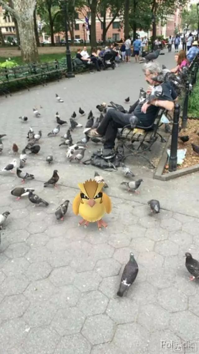 现实世界里有各种各样的宝可梦,真实世界的宝可梦长什么样