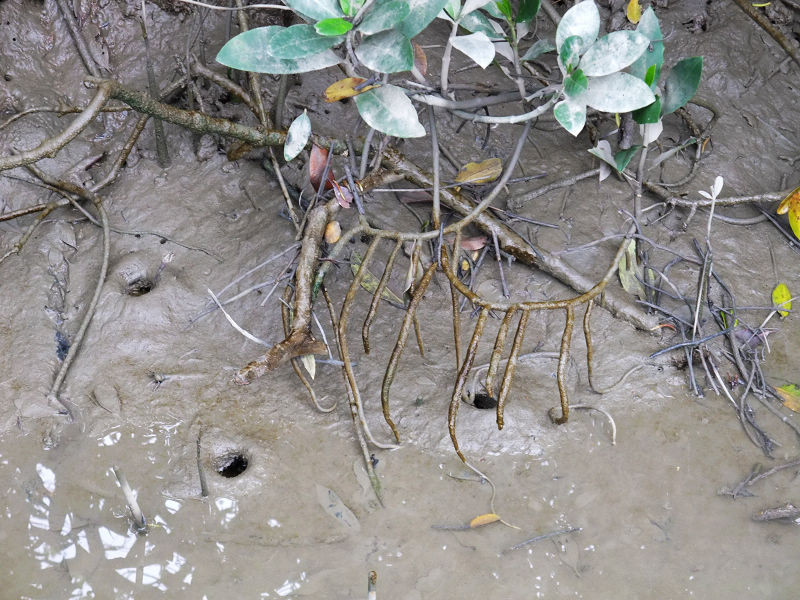 穷驴旅游,港囧游香港