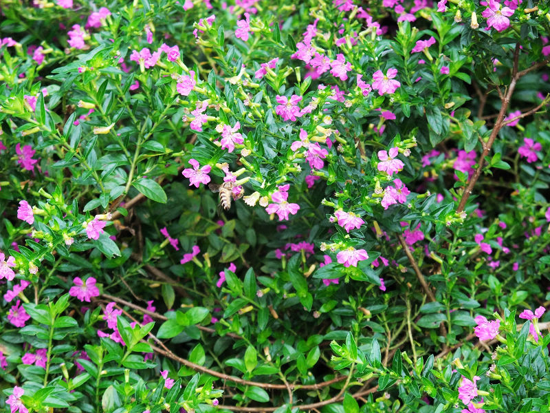 穷驴500块囧囧游香港（详细攻略带图）