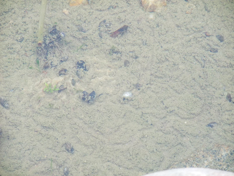 穷驴500块囧囧游香港（详细攻略带图）