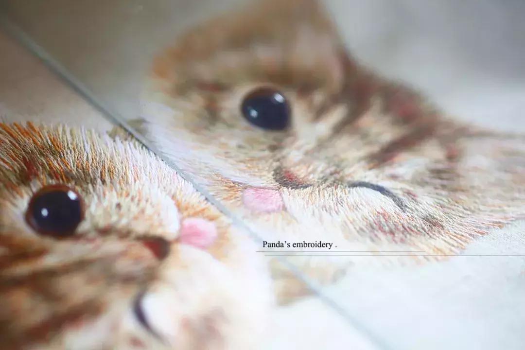 美女用针线“撸猫”，斩获国际大奖，网友惊呼：“这猫要活了！”