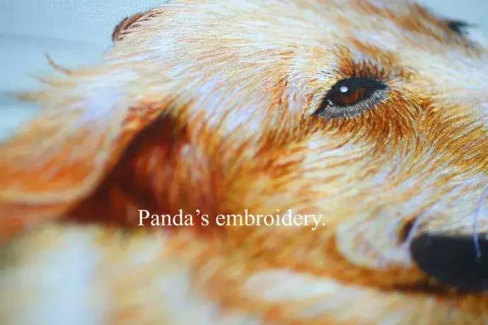 美女用针线“撸猫”，斩获国际大奖，网友惊呼：“这猫要活了！”