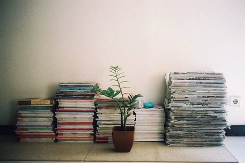 描写校园美好的好句,描写校园的好词好句好段