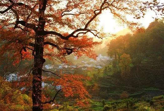 想带着你一起去旅行文案,如果有可能我带你去旅行