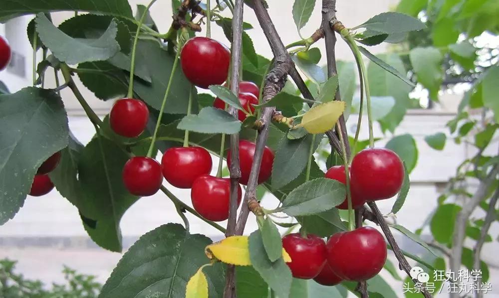 水银不是银是什么,水银不是银是水银