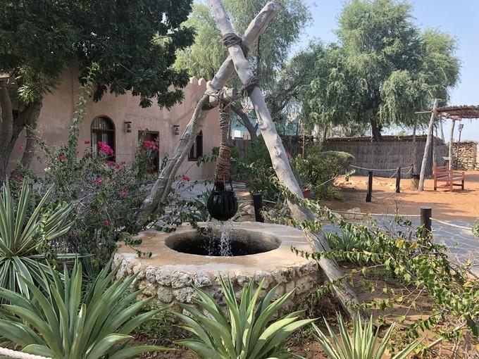 阿联酋沙漠之旅骑着骆驼去旅行,记录一次说走就走的阿联酋迪拜游