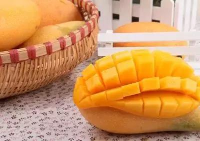 狗狗不能吃的食物完整版,狗狗手术后三种食物不能吃