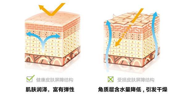 产品选择更加科学与理性,产品选择需要考虑哪些因素