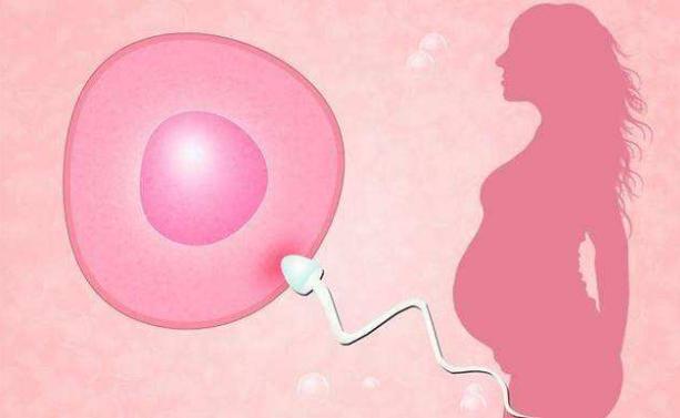 备孕女生排卵期过后应该注意啥,备孕期间过了排卵期应该注意什么