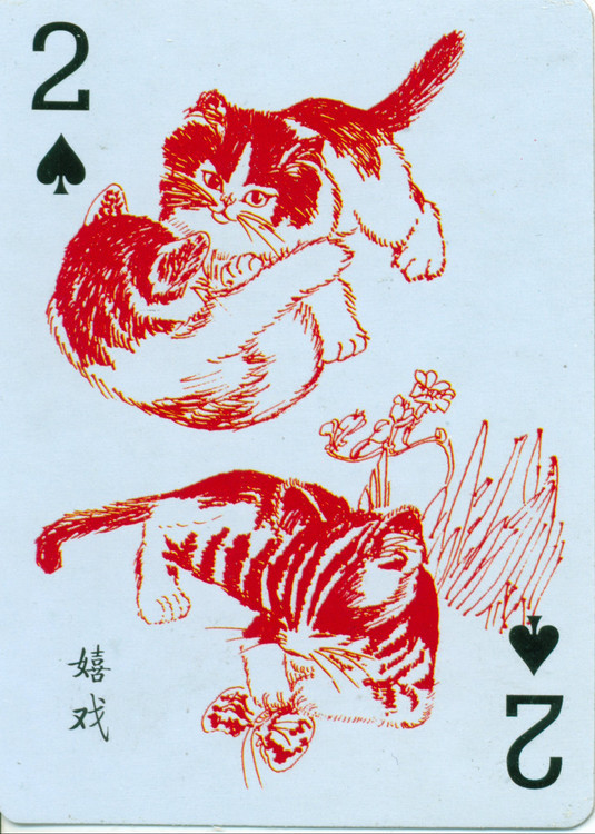 猫谱扑克欣赏,明星扑克牌欣赏