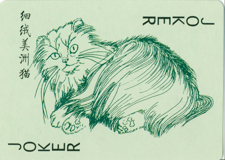 猫谱扑克欣赏,明星扑克牌欣赏