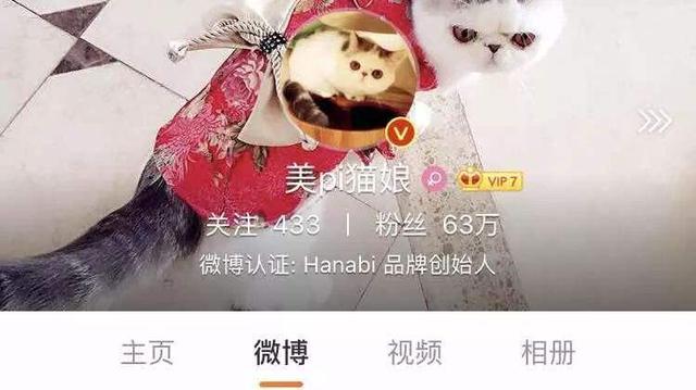 网红猫娘被追逃了吗,警方确认网红猫娘已落网