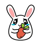 爱用物分享|你以为这些瓶都是白空的?