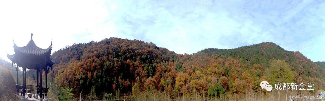 金堂秋色,秋天金堂十大必去景点