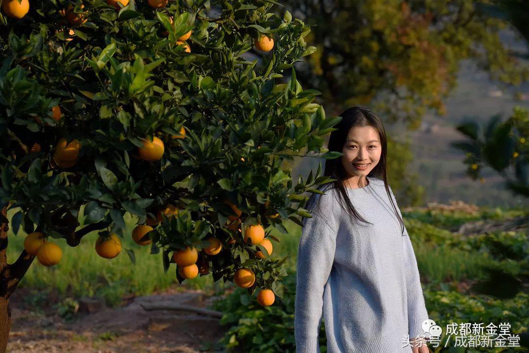 金堂秋色,秋天金堂十大必去景点
