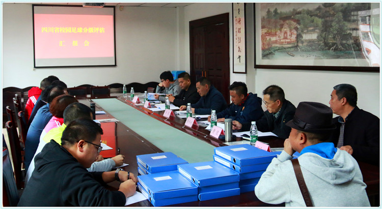 全国足球特色学校评估,四川省洪雅县中小学足球比赛