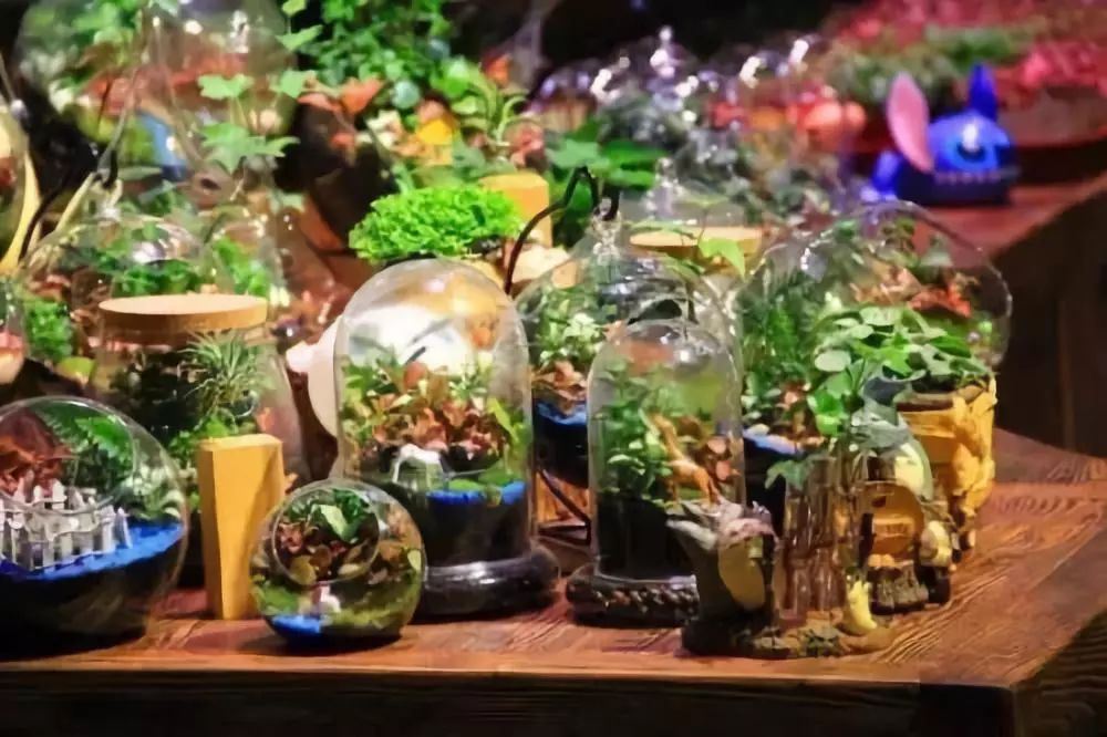 赛车卡丁车武汉,赛车场卡丁车武汉