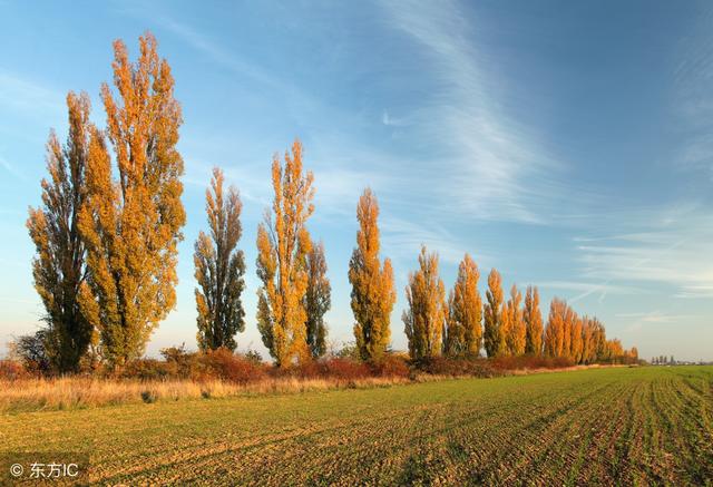 缓解痔疮食疗方法及生活小建议,春季痔疮高发该怎么解决