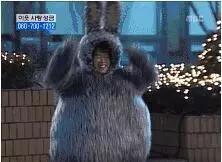 最近最火的搞笑一家人,十大最搞笑一家人