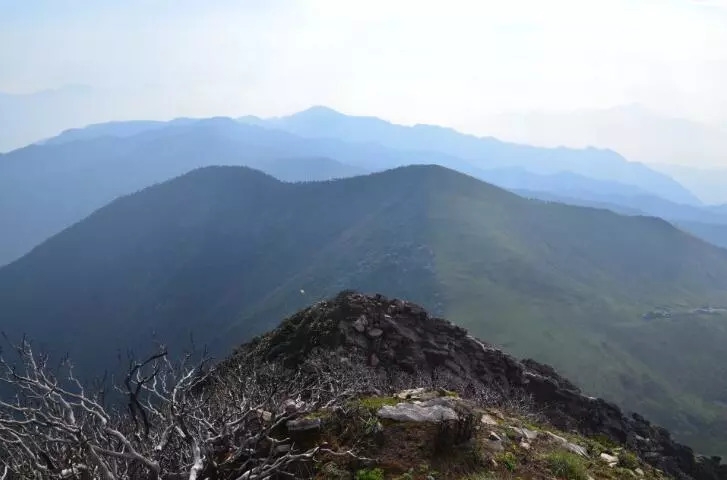百慕大黑竹沟未解之谜,黑竹沟百慕大三角探险