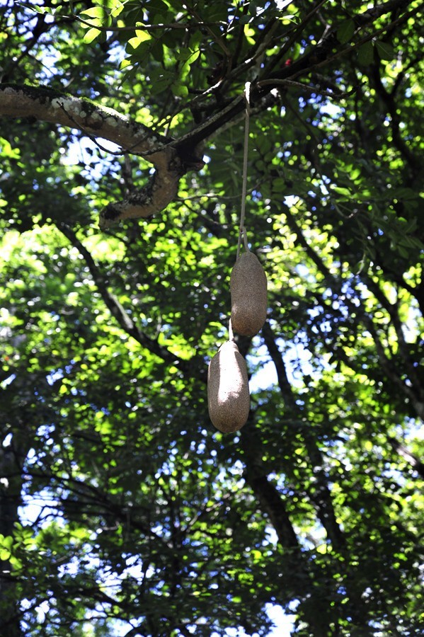 人文摄影斯里兰卡,锡兰风景