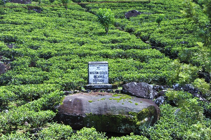 人文摄影斯里兰卡,锡兰风景