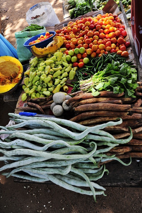 人文摄影斯里兰卡,锡兰风景