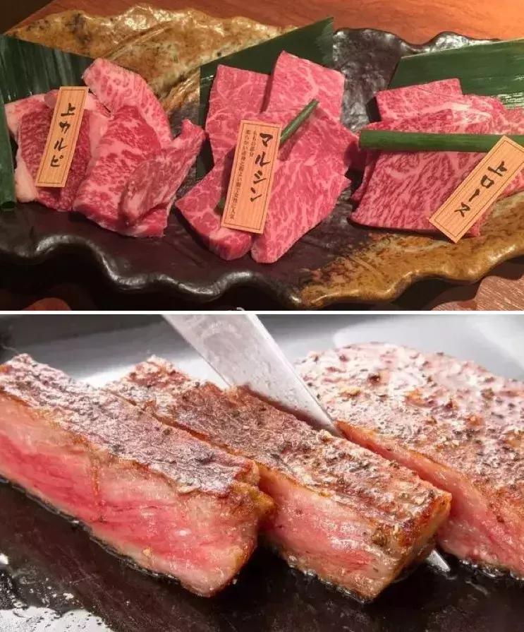 日本最小的岛屿是哪个岛,日本最小的一个岛屿